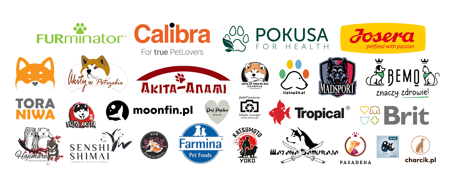 SPONSORS OF THE AWARDS Image