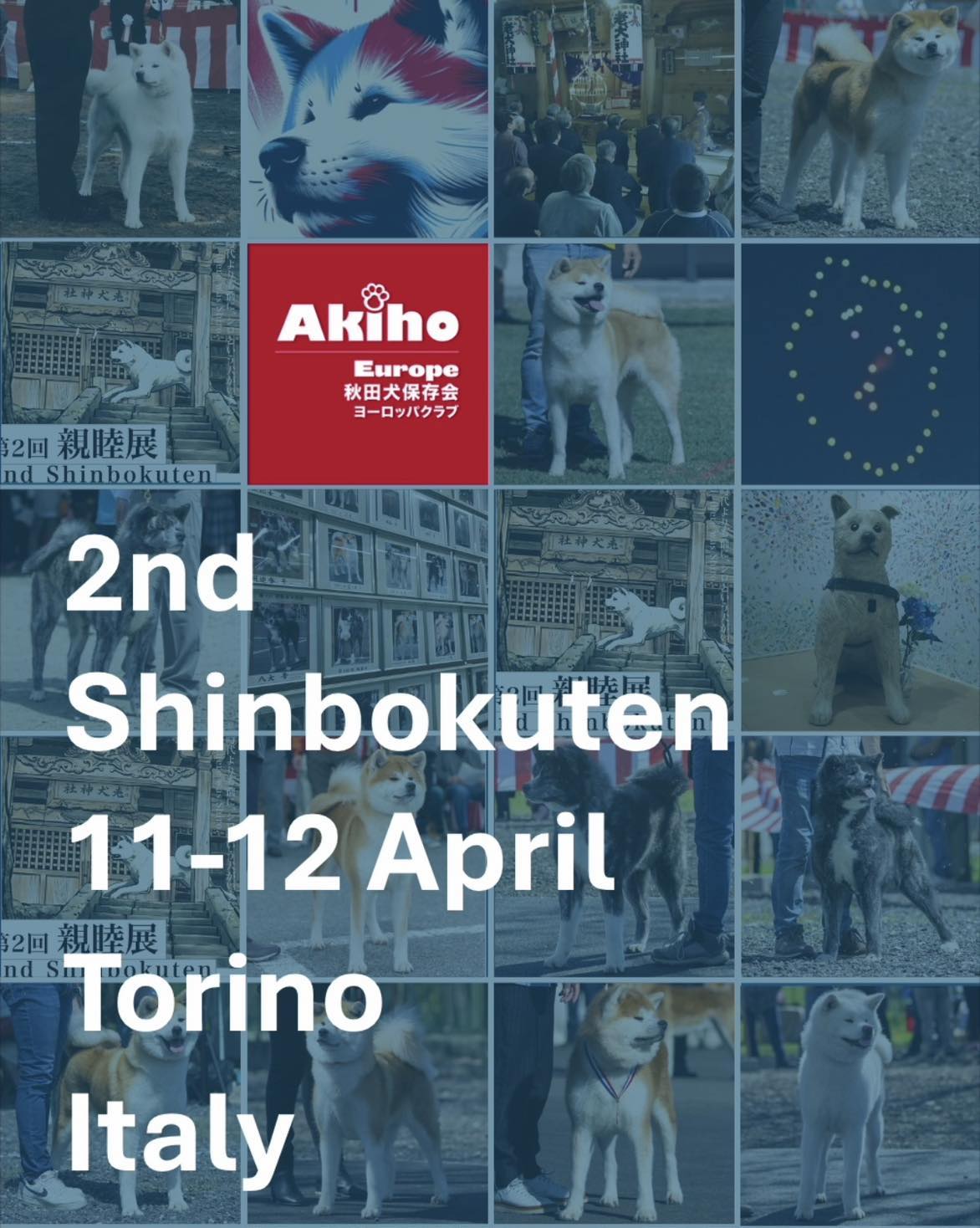 2. Shinbokuten 2026 we Włoszech Image